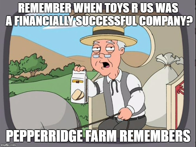 Pepperridge Farm | REMEMBER WHEN TOYS R US WAS A FINANCIALLY SUCCESSFUL COMPANY? PEPPERRIDGE FARM REMEMBERS | image tagged in pepperridge farm | made w/ Imgflip meme maker