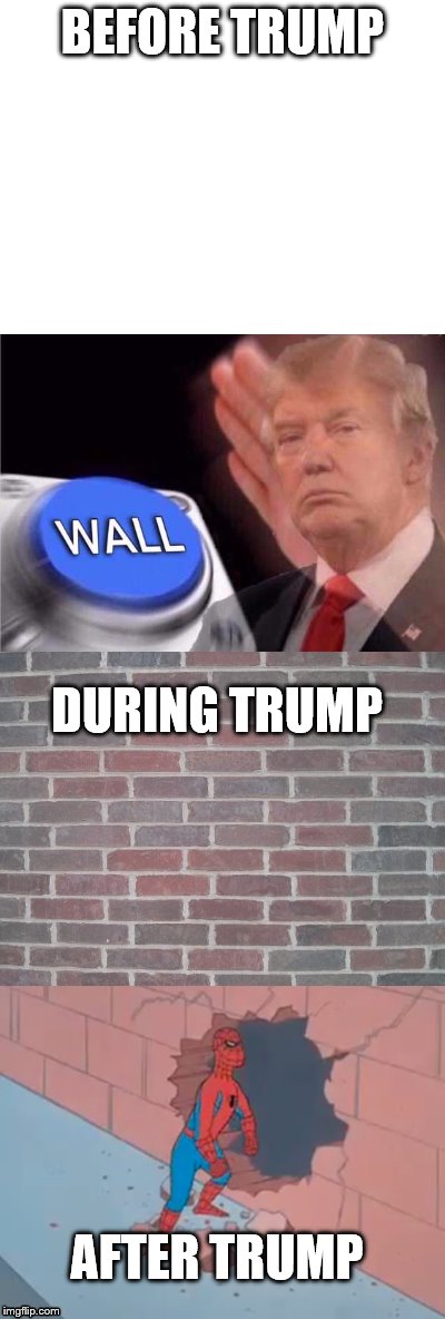 The story of 2016 to 2020 | BEFORE TRUMP; DURING TRUMP; AFTER TRUMP | image tagged in donald trump,wall,trump wall | made w/ Imgflip meme maker