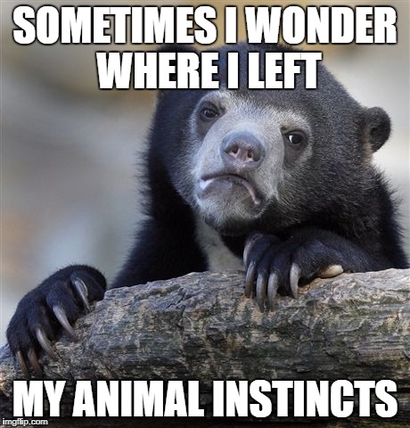Confession Bear Meme | SOMETIMES I WONDER WHERE I LEFT MY ANIMAL INSTINCTS | image tagged in memes,confession bear | made w/ Imgflip meme maker