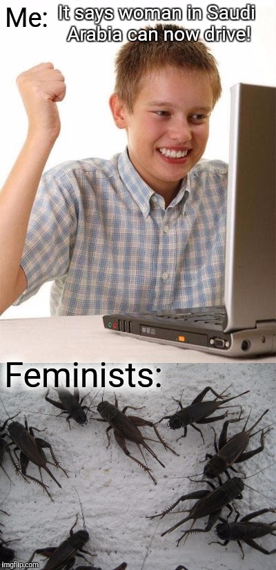 3rd wave feminism  |  It says woman in Saudi Arabia can now drive! Me:; Feminists: | image tagged in first day on the internet kid,crickets,feminist | made w/ Imgflip meme maker