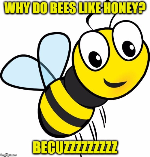 WHY DO BEES LIKE HONEY? BECUZZZZZZZZZ | image tagged in buzzzzz,bee,joke,pun,honey | made w/ Imgflip meme maker