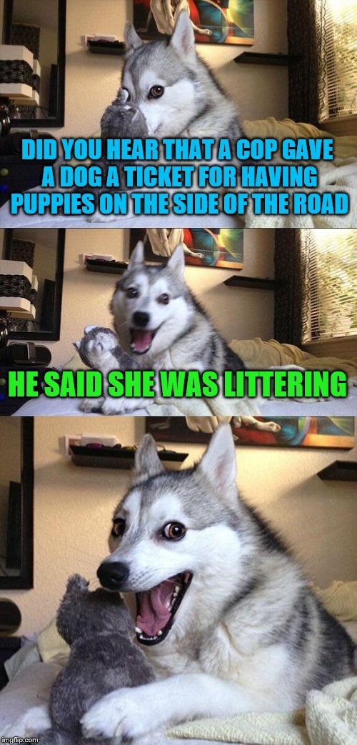 Bad Pun Dog Meme | DID YOU HEAR THAT A COP GAVE A DOG A TICKET FOR HAVING PUPPIES ON THE SIDE OF THE ROAD; HE SAID SHE WAS LITTERING | image tagged in memes,bad pun dog | made w/ Imgflip meme maker