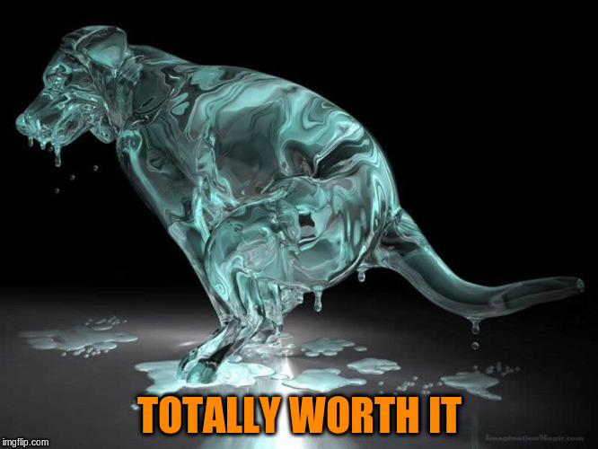 TOTALLY WORTH IT | made w/ Imgflip meme maker