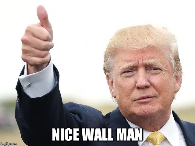 NICE WALL MAN | image tagged in trump thumbs up | made w/ Imgflip meme maker