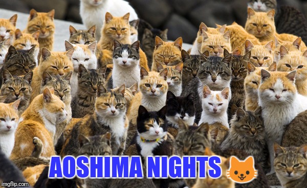 Aoshima cat island | AOSHIMA NIGHTS  | image tagged in aoshima cat island | made w/ Imgflip meme maker