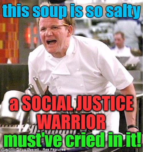 Chef Gordon Ramsay | this soup is so salty; a SOCIAL JUSTICE WARRIOR; must've cried in it! | image tagged in chef gordon ramsay,funny,funny memes,politics,political meme,political | made w/ Imgflip meme maker