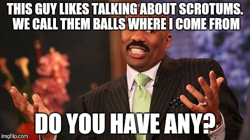 THIS GUY LIKES TALKING ABOUT SCROTUMS. WE CALL THEM BALLS WHERE I COME FROM DO YOU HAVE ANY? | image tagged in memes,steve harvey | made w/ Imgflip meme maker
