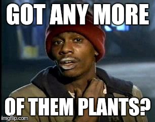 Y'all Got Any More Of That Meme | GOT ANY MORE; OF THEM PLANTS? | image tagged in memes,yall got any more of | made w/ Imgflip meme maker