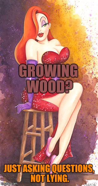 GROWING WOOD? JUST ASKING QUESTIONS, NOT LYING. | made w/ Imgflip meme maker