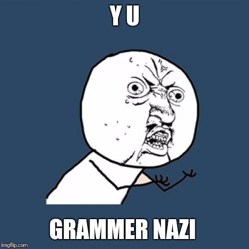 Y U No Meme | Y U GRAMMER NAZI | image tagged in memes,y u no | made w/ Imgflip meme maker