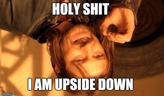 One Does Not Simply Meme | HOLY SHIT; I AM UPSIDE DOWN | image tagged in memes,one does not simply | made w/ Imgflip meme maker