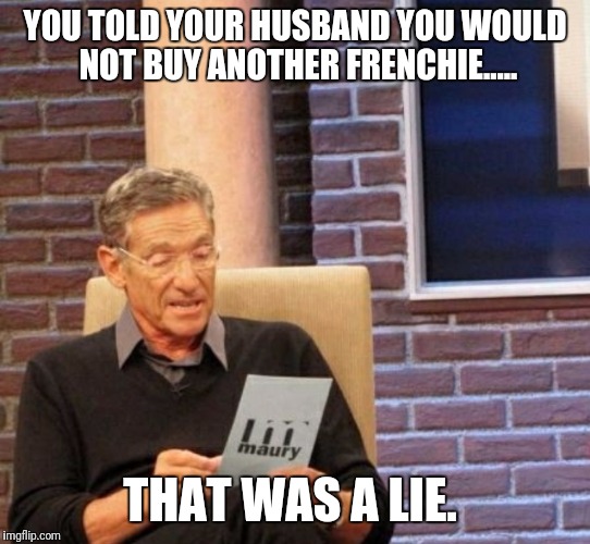 YOU TOLD YOUR HUSBAND YOU WOULD NOT BUY ANOTHER FRENCHIE..... THAT WAS A LIE. | image tagged in frenchie | made w/ Imgflip meme maker