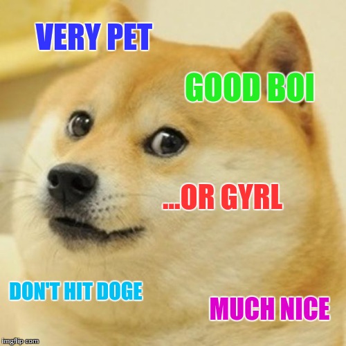 Doge Meme | VERY PET GOOD BOI ...OR GYRL DON'T HIT DOGE MUCH NICE | image tagged in memes,doge | made w/ Imgflip meme maker