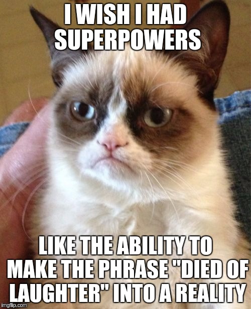 Grumpy Cat Meme | I WISH I HAD SUPERPOWERS; LIKE THE ABILITY TO MAKE THE PHRASE "DIED OF LAUGHTER" INTO A REALITY | image tagged in memes,grumpy cat | made w/ Imgflip meme maker