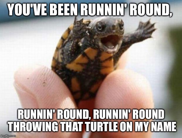 happy baby turtle | YOU'VE BEEN RUNNIN' ROUND, RUNNIN' ROUND, RUNNIN' ROUND THROWING THAT TURTLE ON MY NAME | image tagged in happy baby turtle | made w/ Imgflip meme maker