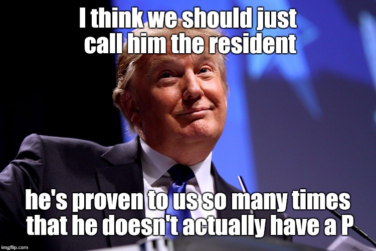 resident Trump | I think we should just call him the resident; he's proven to us so many times that he doesn't actually have a P | image tagged in donald trump,resident | made w/ Imgflip meme maker