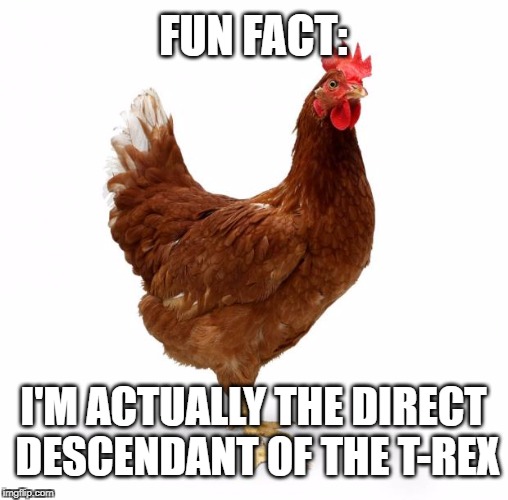 Chicken and The T. Rex | FUN FACT:; I'M ACTUALLY THE DIRECT DESCENDANT OF THE T-REX | image tagged in memes,chicken,t rex,tyrannosaurus,rex,fun fact | made w/ Imgflip meme maker
