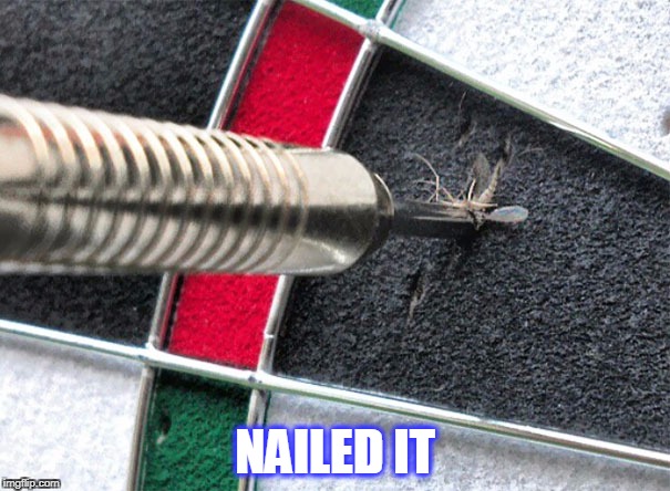 nailed it | NAILED IT | image tagged in bugs,darts | made w/ Imgflip meme maker