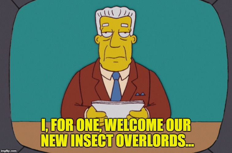 I, FOR ONE, WELCOME OUR NEW INSECT OVERLORDS... | made w/ Imgflip meme maker