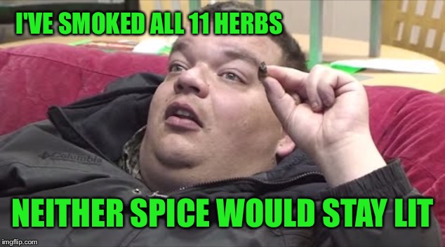 Thinking stoner | I'VE SMOKED ALL 11 HERBS NEITHER SPICE WOULD STAY LIT | image tagged in thinking stoner | made w/ Imgflip meme maker