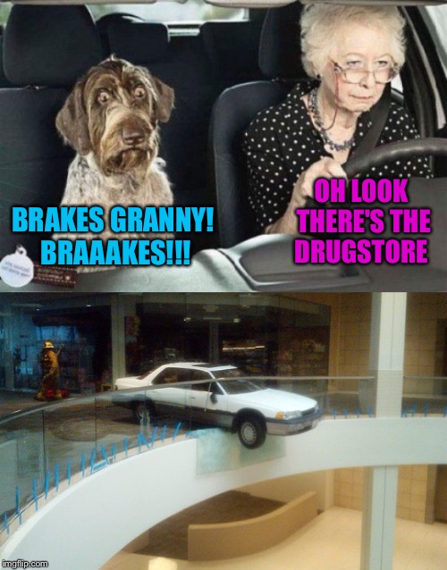 BRAKES GRANNY! BRAAAKES!!! OH LOOK THERE'S THE DRUGSTORE | made w/ Imgflip meme maker