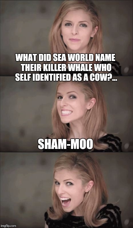 Bad Pun Anna Kendrick Meme | WHAT DID SEA WORLD NAME THEIR KILLER WHALE WHO SELF IDENTIFIED AS A COW?... SHAM-MOO | image tagged in memes,bad pun anna kendrick,sea world,jbmemegeek,bad puns,funny animals | made w/ Imgflip meme maker