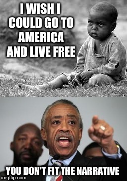 I WISH I COULD GO TO AMERICA AND LIVE FREE; YOU DON'T FIT THE NARRATIVE | image tagged in memes,al sharpton | made w/ Imgflip meme maker
