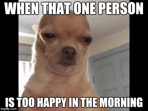 Morning time | WHEN THAT ONE PERSON; IS TOO HAPPY IN THE MORNING | image tagged in monday mornings | made w/ Imgflip meme maker