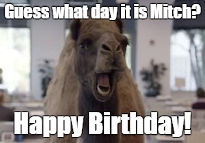 Hump Day Camel | Guess what day it is Mitch? Happy Birthday! | image tagged in hump day camel | made w/ Imgflip meme maker