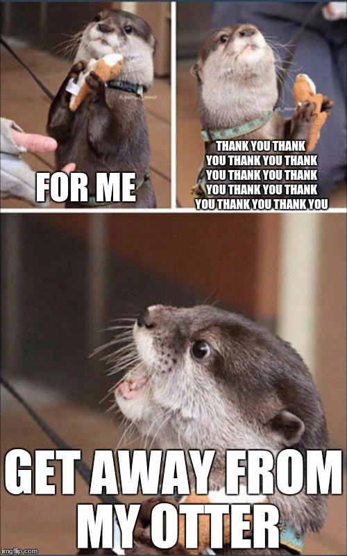 I Said Good Day Sir Otter | THANK YOU THANK YOU THANK YOU THANK YOU THANK YOU THANK YOU THANK YOU THANK YOU THANK YOU THANK YOU; FOR ME; GET AWAY FROM MY OTTER | image tagged in i said good day sir otter | made w/ Imgflip meme maker