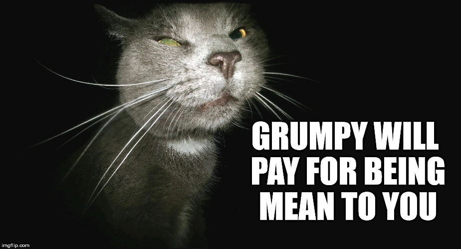 Stalker Cat | GRUMPY WILL PAY FOR BEING MEAN TO YOU | image tagged in stalker cat | made w/ Imgflip meme maker