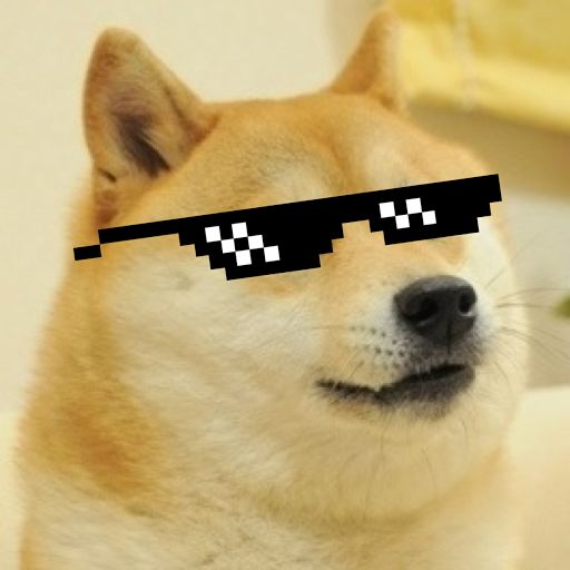 High Quality MLG Doge Blank Meme Template