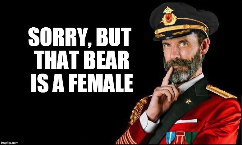 SORRY, BUT THAT BEAR IS A FEMALE | made w/ Imgflip meme maker