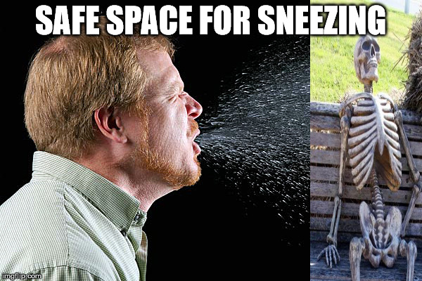 SAFE SPACE FOR SNEEZING | made w/ Imgflip meme maker