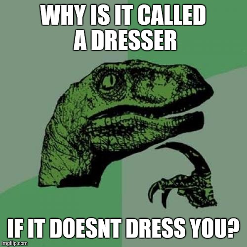 Philosoraptor | WHY IS IT CALLED A DRESSER; IF IT DOESNT DRESS YOU? | image tagged in memes,philosoraptor | made w/ Imgflip meme maker