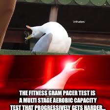 Inhaling duck 4 red | THE FITNESS GRAM PACER TEST IS A MULTI STAGE AEROBIC CAPACITY TEST THAT PROGRESSIVELY GETS HARDER... | image tagged in duck | made w/ Imgflip meme maker