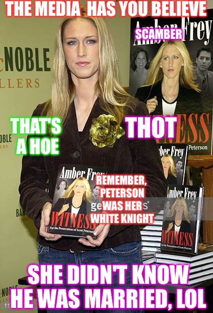 THE MEDIA  HAS YOU BELIEVE; SCAMBER; THOT; THAT'S A HOE; REMEMBER, PETERSON WAS HER WHITE KNIGHT; SHE DIDN'T KNOW HE WAS MARRIED, LOL | image tagged in thots,hoes,hoe,skank,single mom,cheating | made w/ Imgflip meme maker