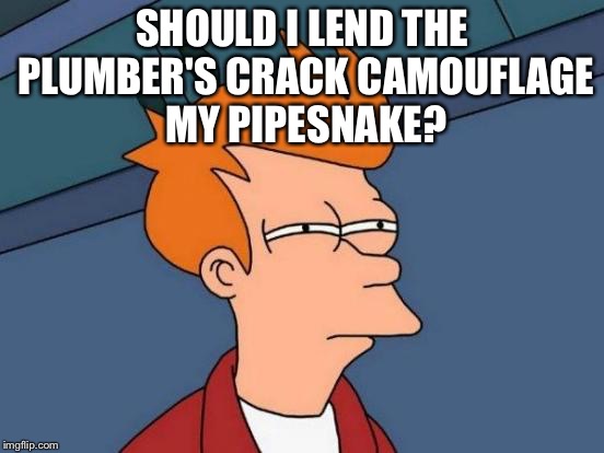 Futurama Fry Meme | SHOULD I LEND THE PLUMBER'S CRACK CAMOUFLAGE MY PIPESNAKE? | image tagged in memes,futurama fry | made w/ Imgflip meme maker