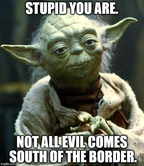 Star Wars Yoda Meme | STUPID YOU ARE. NOT ALL EVIL COMES SOUTH OF THE BORDER. | image tagged in memes,star wars yoda | made w/ Imgflip meme maker