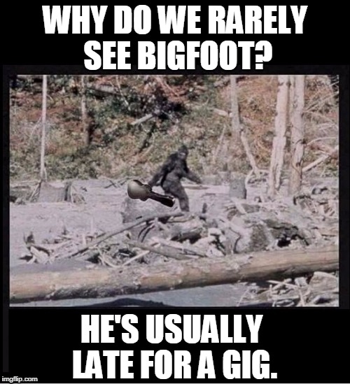 Gig-Foot | WHY DO WE RARELY SEE BIGFOOT? HE'S USUALLY LATE FOR A GIG. | image tagged in vince vance,bigfoot,bigfoot carrying a guitar,bigfoot in his natural habitat,musicians,guitar players | made w/ Imgflip meme maker