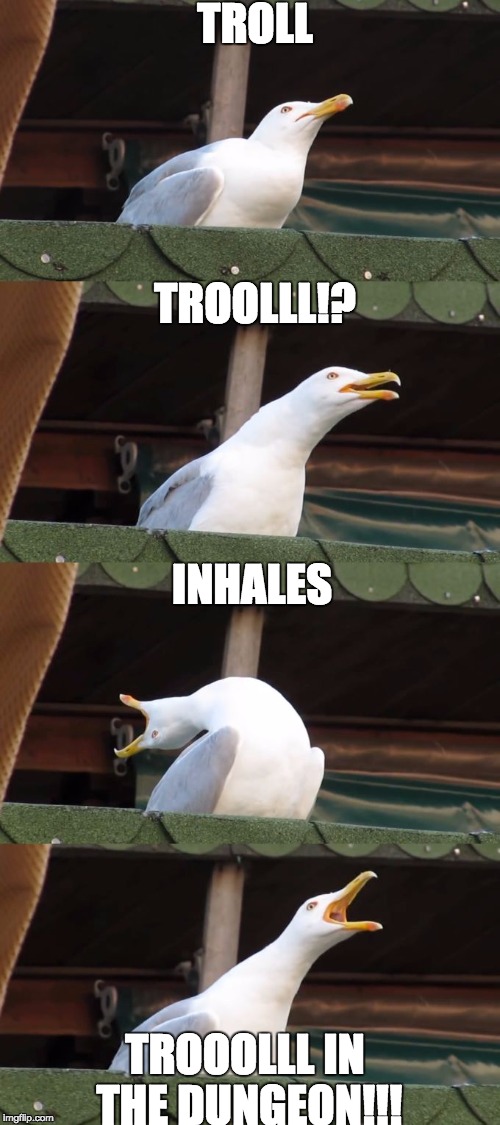 gabbiano seagull | TROLL; TROOLLL!? INHALES; TROOOLLL IN THE DUNGEON!!! | image tagged in gabbiano seagull | made w/ Imgflip meme maker