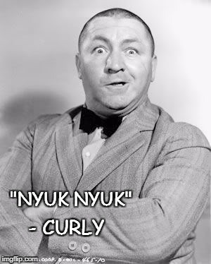Curly | "NYUK NYUK"; - CURLY | image tagged in curly | made w/ Imgflip meme maker