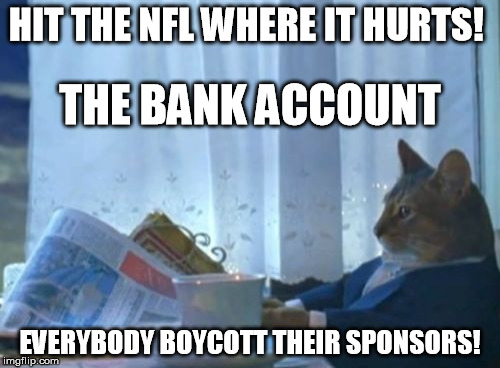 I Should Buy A Boat Cat Meme | HIT THE NFL WHERE IT HURTS! THE BANK ACCOUNT; EVERYBODY BOYCOTT THEIR SPONSORS! | image tagged in memes,i should buy a boat cat | made w/ Imgflip meme maker