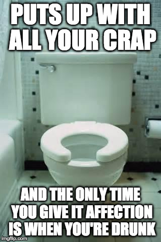 Not cool people....not cool. | PUTS UP WITH ALL YOUR CRAP; AND THE ONLY TIME YOU GIVE IT AFFECTION IS WHEN YOU'RE DRUNK | image tagged in toilet,crap,poop,drunk,hillary clinton,puke | made w/ Imgflip meme maker