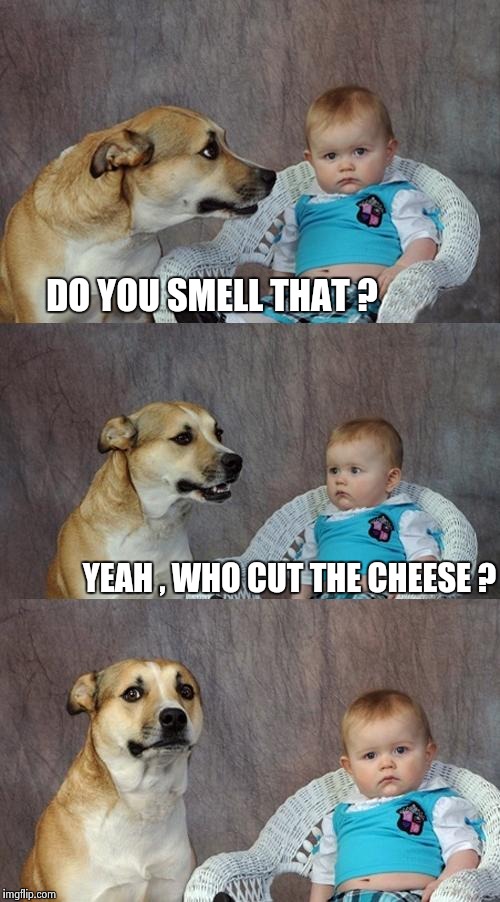 Whoever smelled it , dealt it | DO YOU SMELL THAT ? YEAH , WHO CUT THE CHEESE ? | image tagged in memes,dad joke dog,fart jokes | made w/ Imgflip meme maker