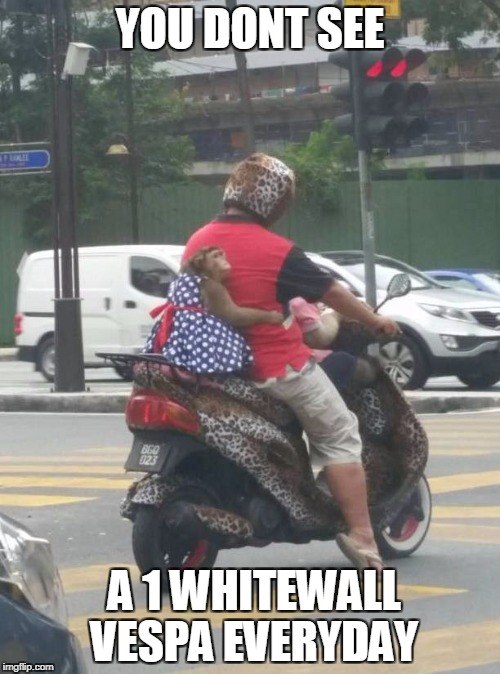 1 whitewall vespa | YOU DONT SEE; A 1 WHITEWALL VESPA EVERYDAY | image tagged in monkey | made w/ Imgflip meme maker