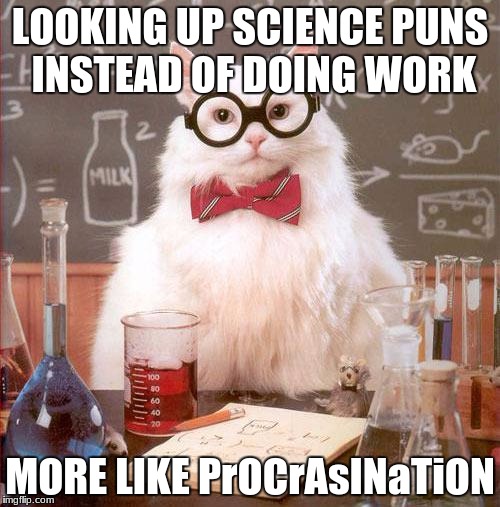 Science Cat | LOOKING UP SCIENCE PUNS INSTEAD OF DOING WORK; MORE LIKE PrOCrAsINaTiON | image tagged in science cat | made w/ Imgflip meme maker