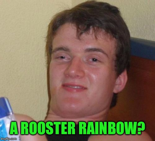 10 Guy Meme | A ROOSTER RAINBOW? | image tagged in memes,10 guy | made w/ Imgflip meme maker