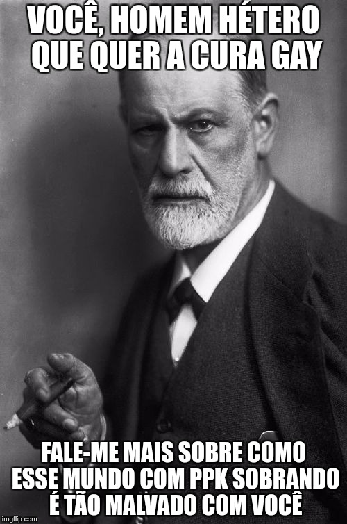 Sigmund Freud Meme | VOCÊ, HOMEM HÉTERO QUE QUER A CURA GAY; FALE-ME MAIS SOBRE COMO ESSE MUNDO COM PPK SOBRANDO É TÃO MALVADO COM VOCÊ | image tagged in memes,sigmund freud | made w/ Imgflip meme maker