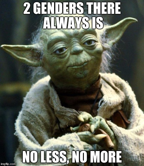 yoda knows | 2 GENDERS THERE ALWAYS IS; NO LESS, NO MORE | image tagged in memes,star wars yoda | made w/ Imgflip meme maker